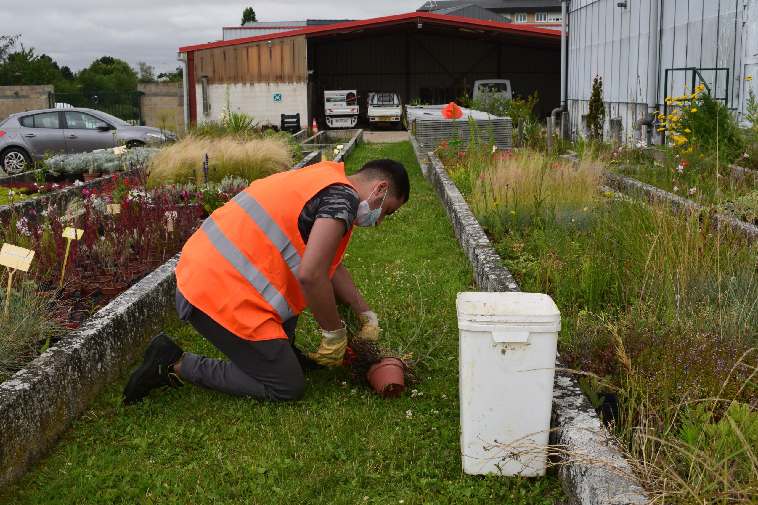 jobs_coup_de_pouce-photo_jeune_jardinnage-Mainvilliers