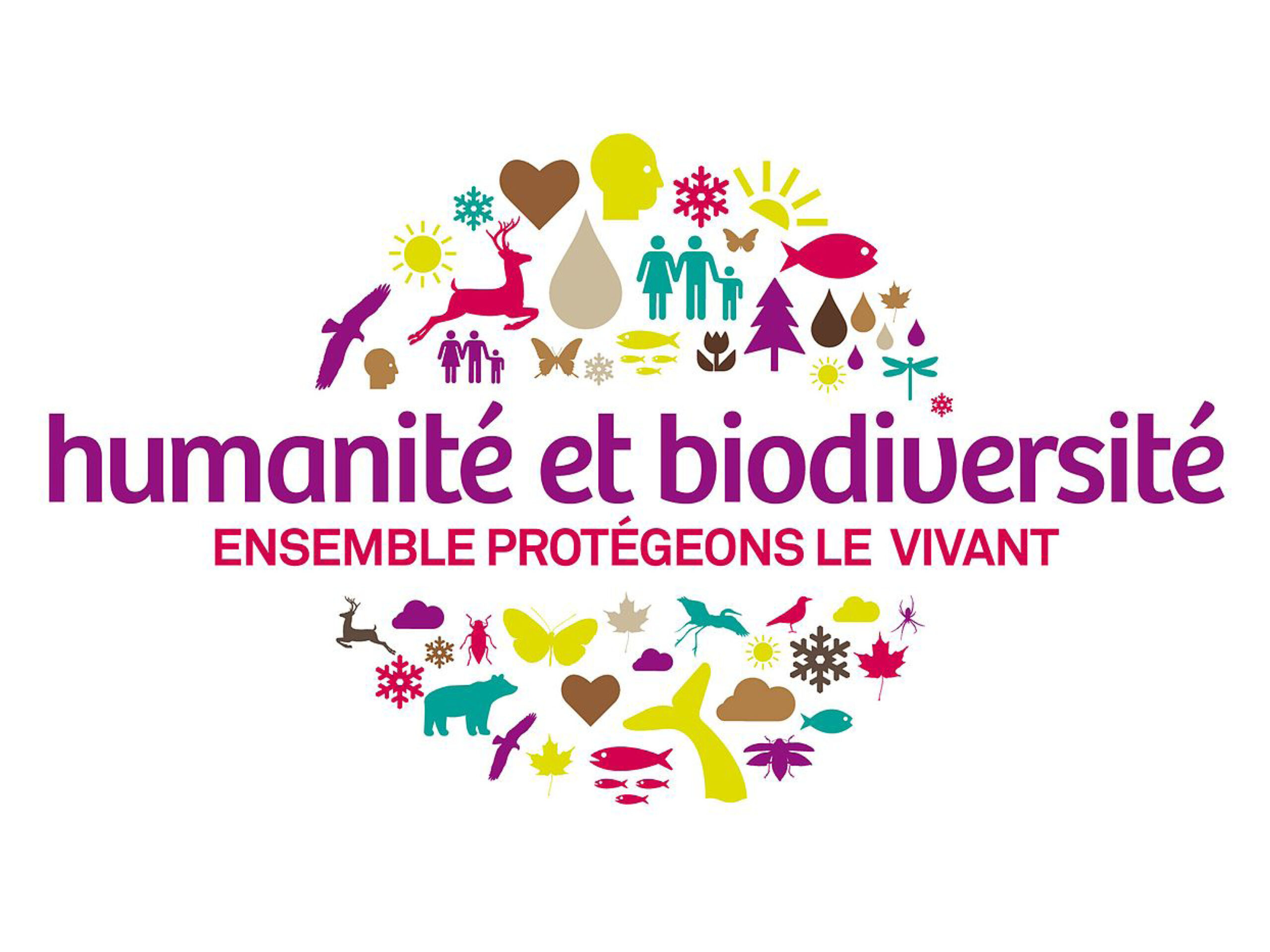 Des forêts, des hommes et de la biodiversité