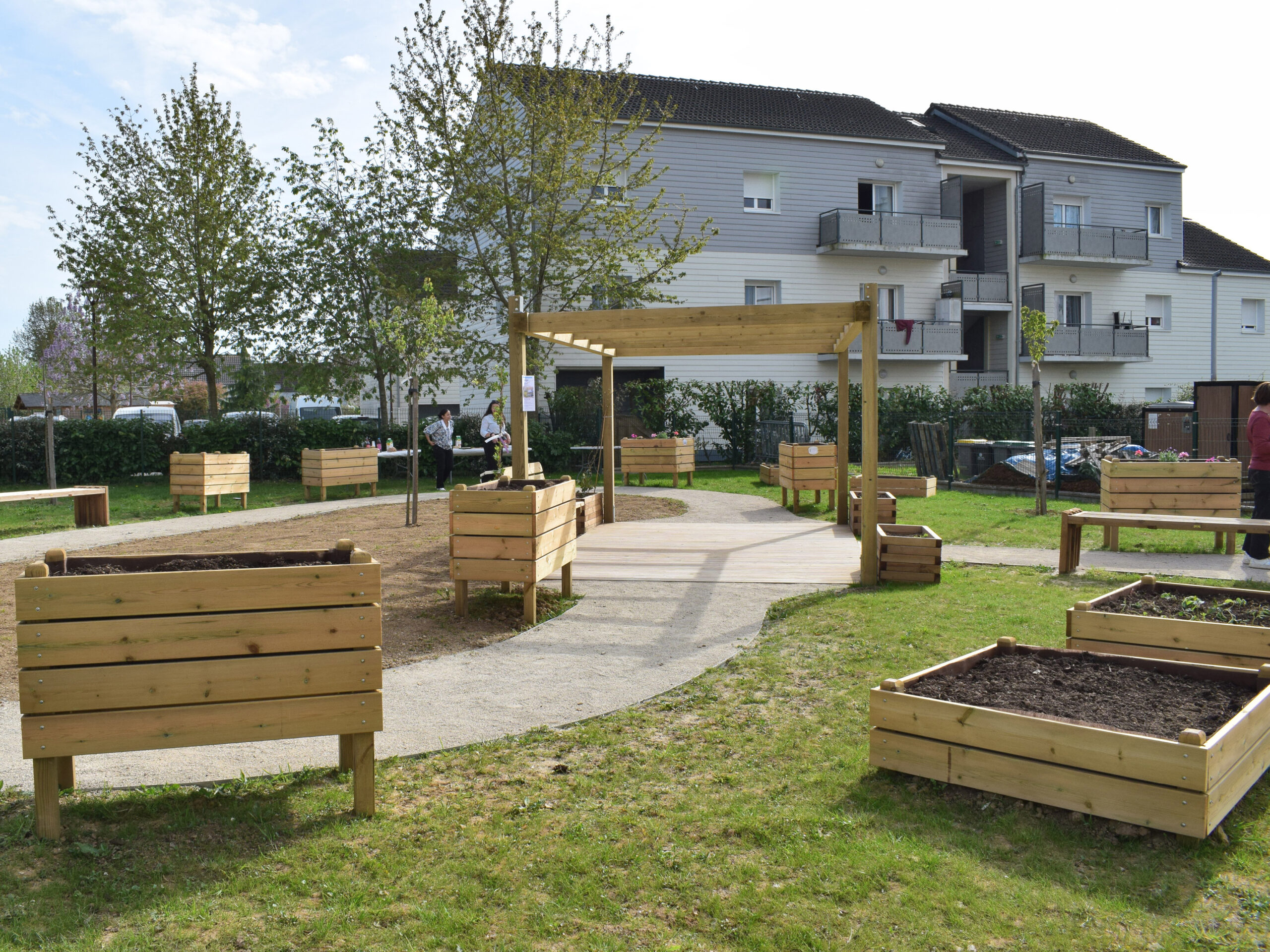 ACTU jardin partagé 4