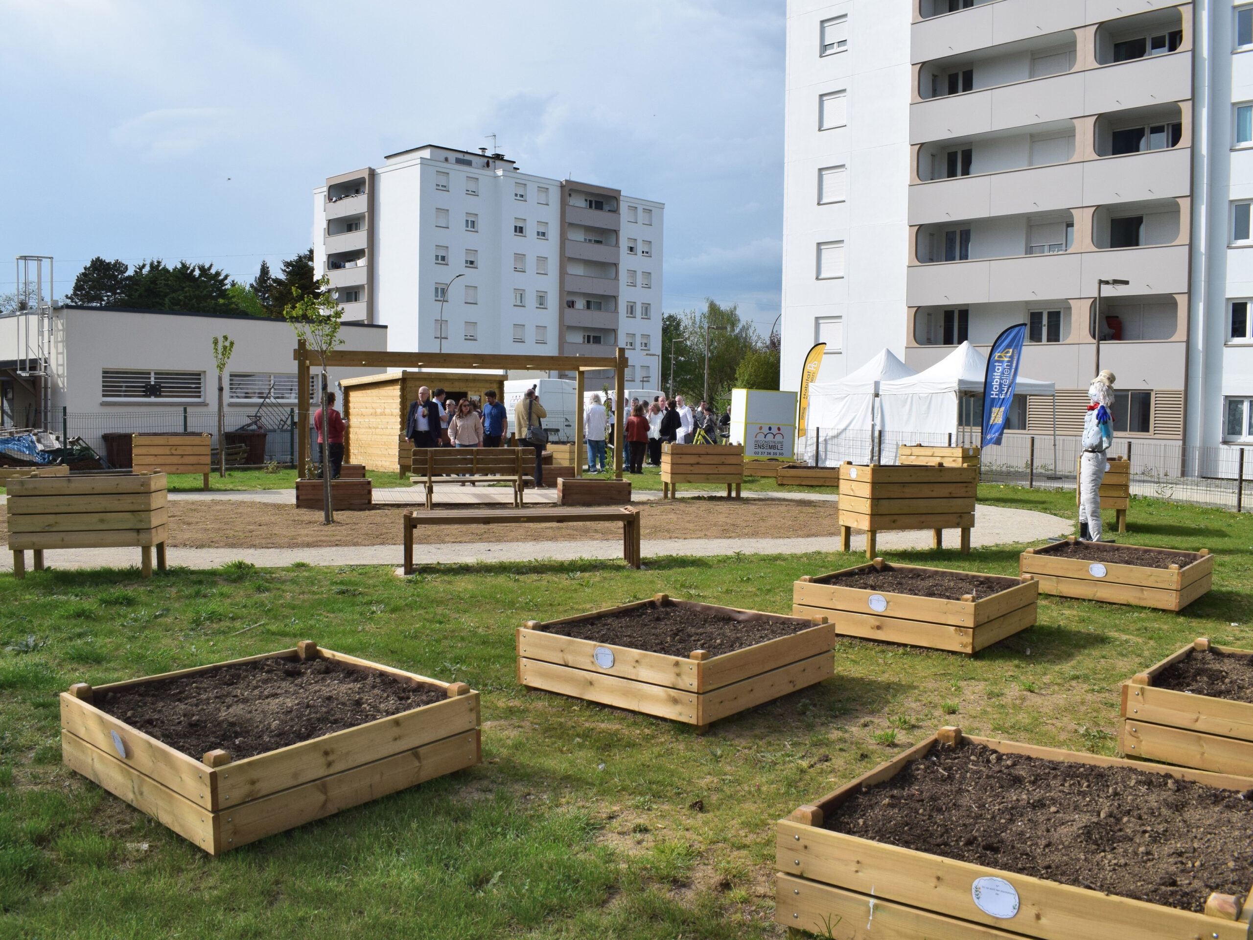 ACTU jardin partagé 5